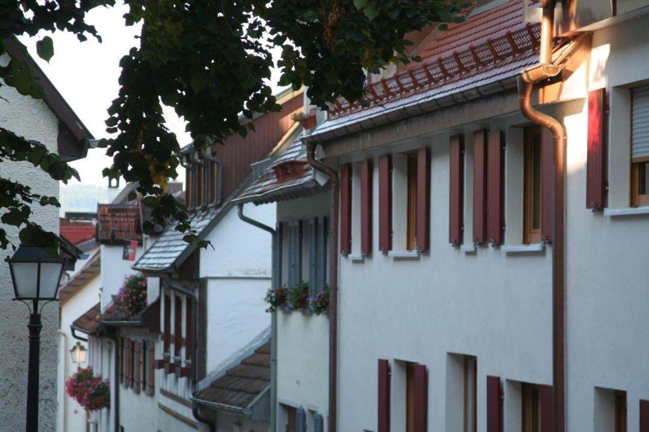 Hotel Gaestehaus Theresia Garni Muhlheim an der Donau Exterior photo