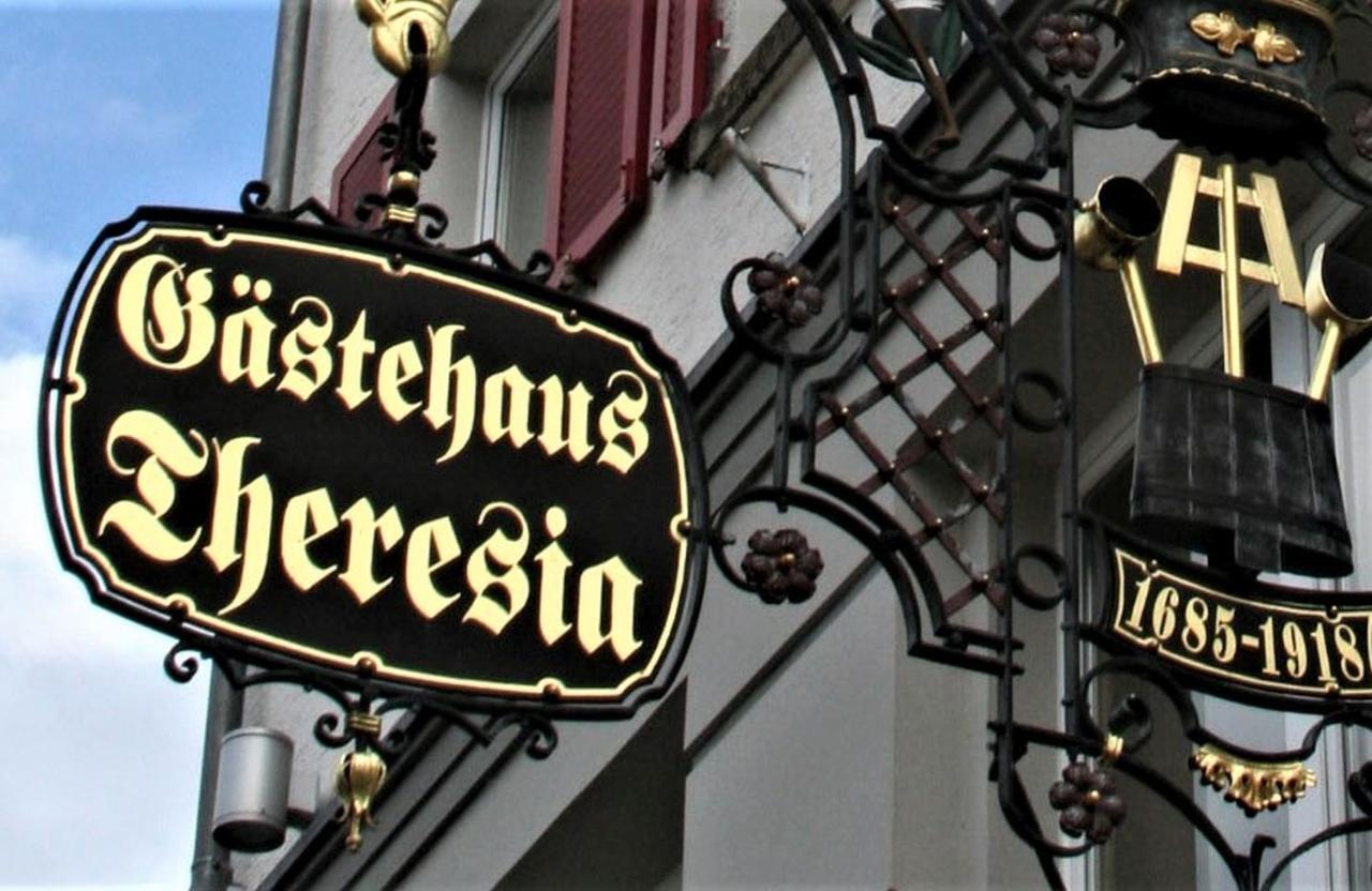 Hotel Gaestehaus Theresia Garni Muhlheim an der Donau Exterior photo