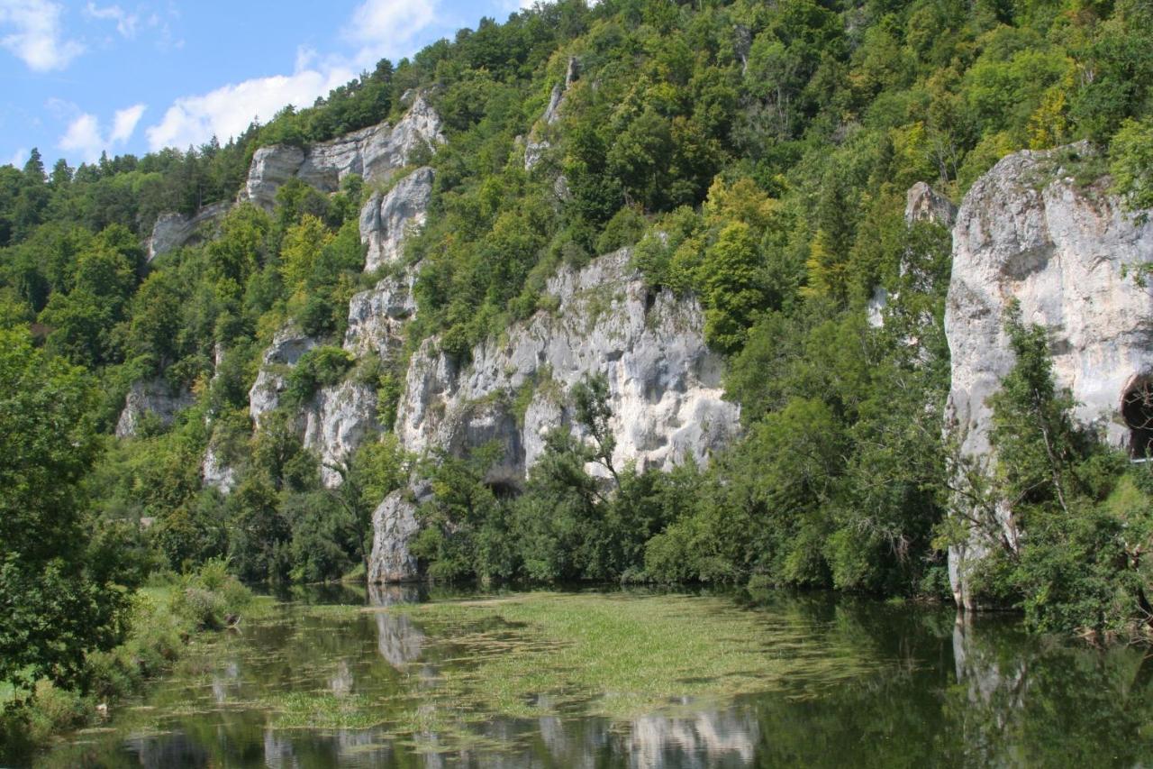 Hotel Gaestehaus Theresia Garni Muhlheim an der Donau Exterior photo